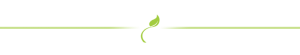 green_line_faded_with_leaf_smaller